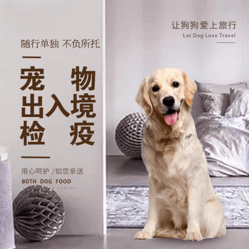 台东县宠物托运到哥伦比亚猫狗宠物入境规定和