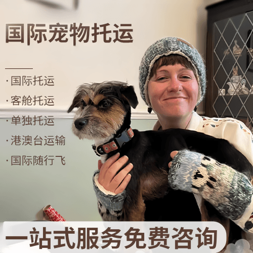 台东县国际宠物托运到阿根廷宠物入境规定和要