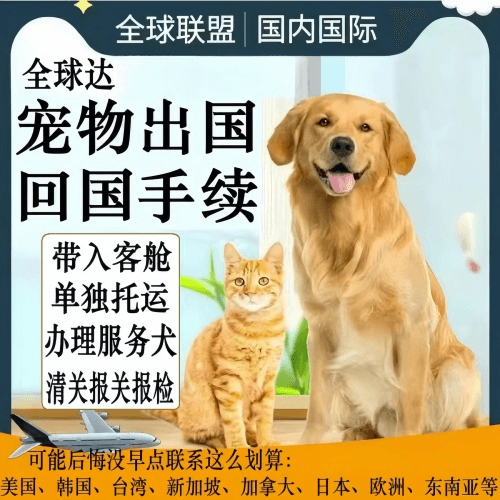 台东县宠物托运到柬埔寨宠物入境规定和要求