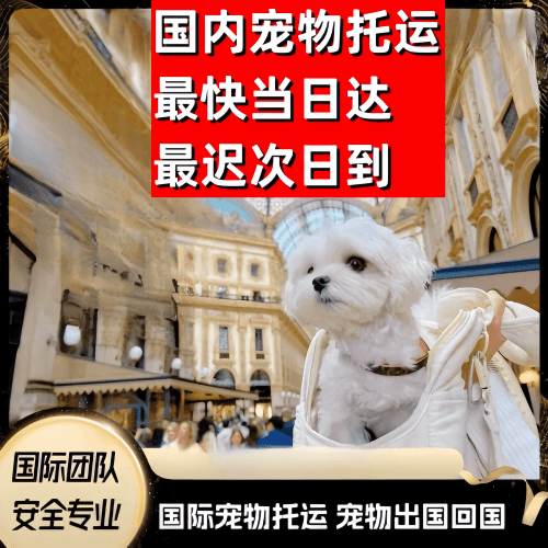台东县到澳大利亚（澳洲）宠物入境规定和要求
