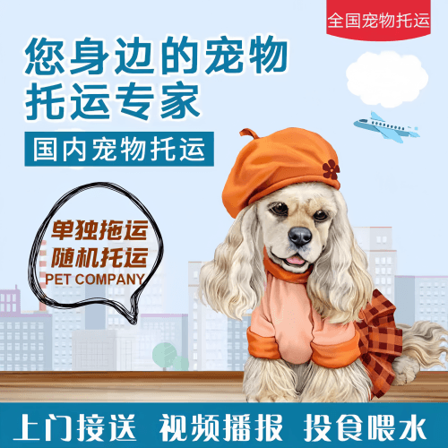 满财台东县宠物全球达宠物托运作为专业的宠物运输代理机构